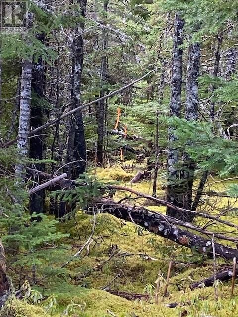 Property Photo:  104-108 Highway East  NL A0A 4G0 