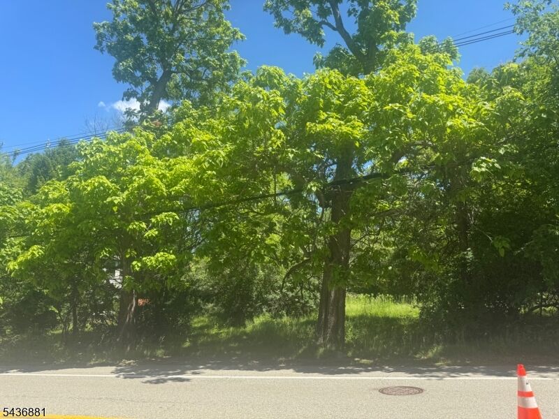 Property Photo:  3120 Valley Rd  NJ 07920 