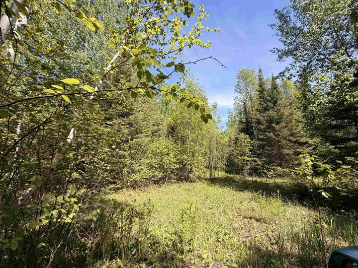 Property Photo:  9685 Gunflint Tr  MN 55604 