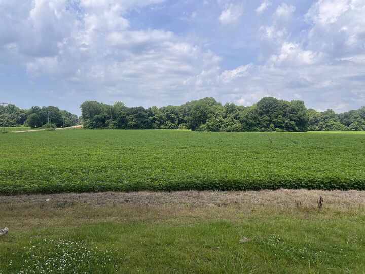 Property Photo:  9820 W Hwy 59 Hwy  TN 38015 