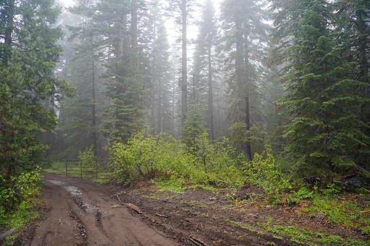 Property Photo: 19498 Marsh Mill Road CA 95959