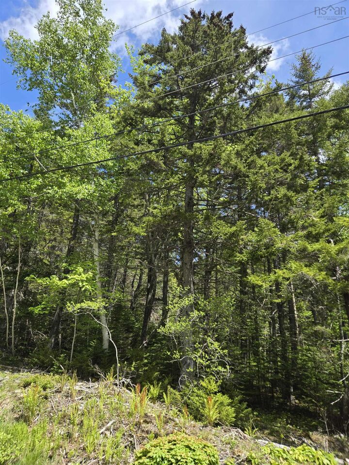 Property Photo:  Lot (Pid 60462025) Lake Road  NS B4V 6G4 
