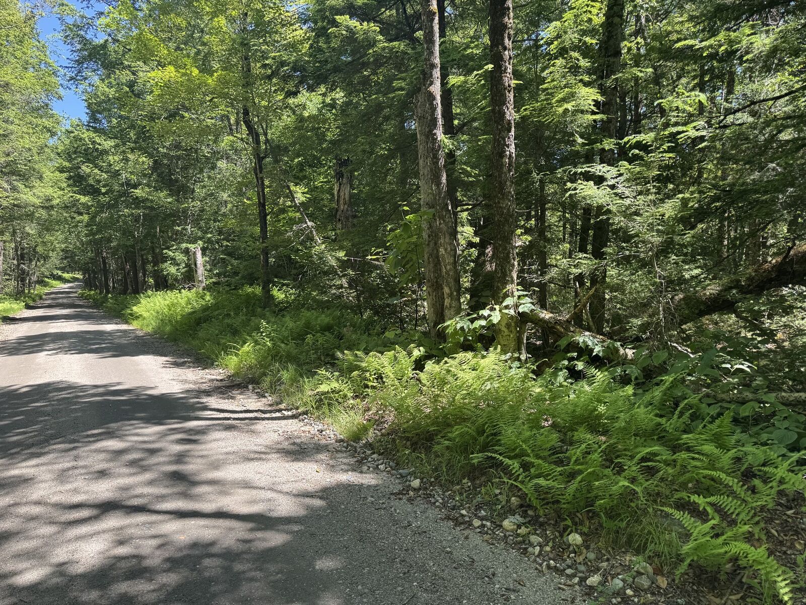 Property Photo:  0 Old Stage Rd  MA 01330 