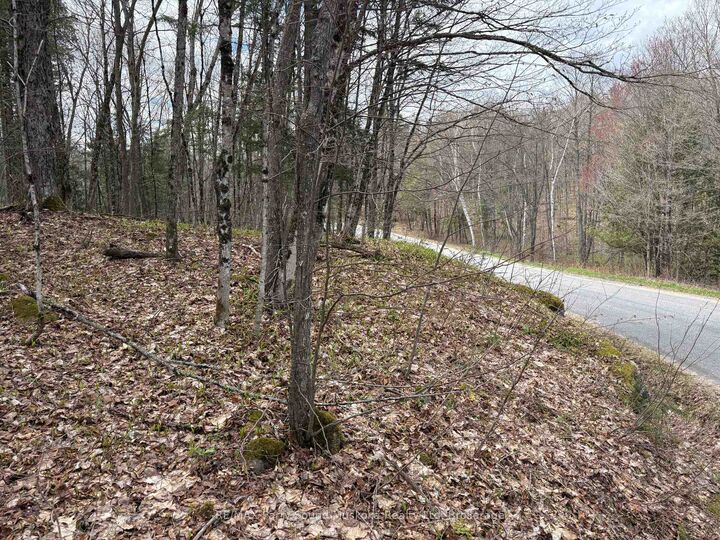 Property Photo:  0 Ahmic Lake Road  ON P0A 1P0 