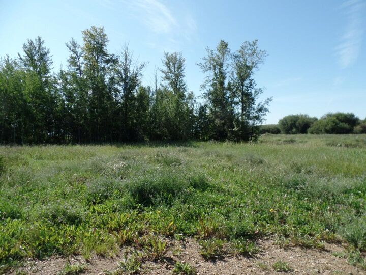 Property Photo:  2 Islandview Road  AB T0A 2C1 