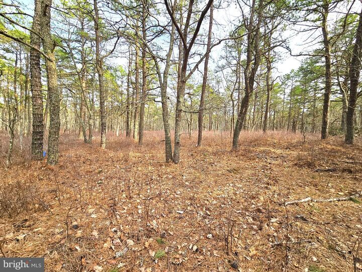 Property Photo: 20 Pinewood Drive NJ 08087