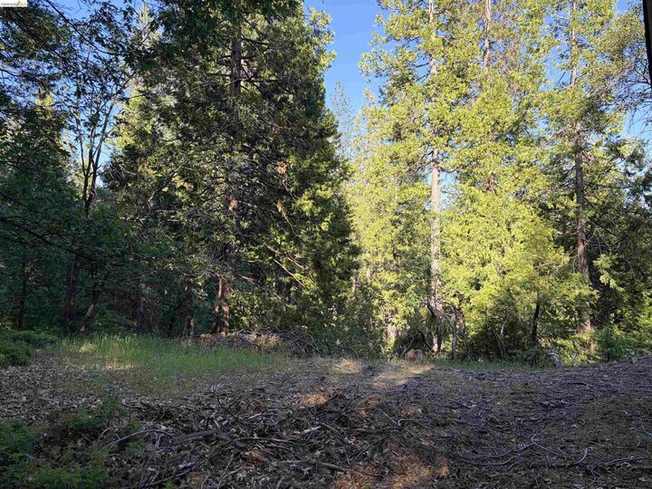 Property Photo:  23490 Old Mueli Trl  CA 95383 