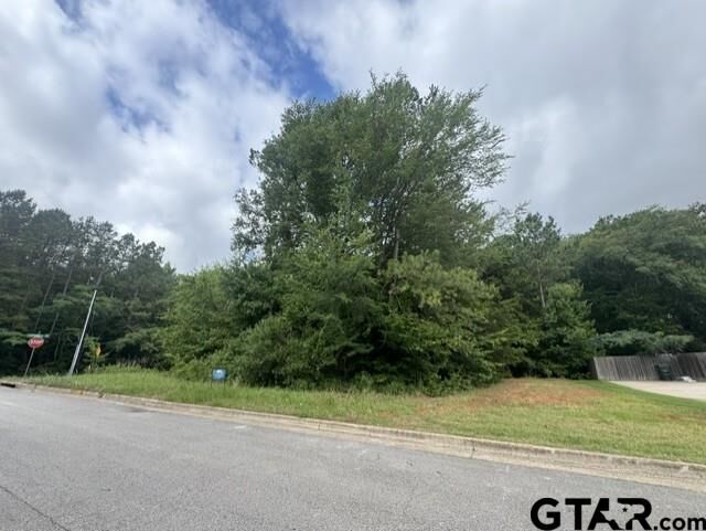Property Photo: 9469 Cherokee Trail TX 75703