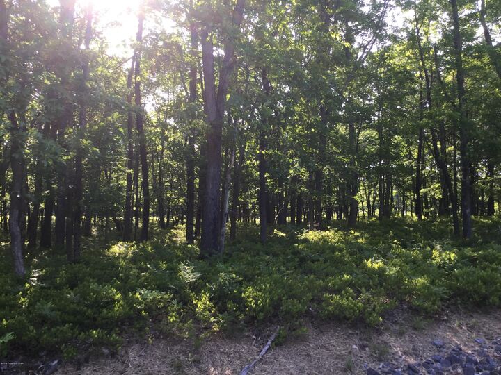 Property Photo: Tw Lot 107 Sweet Birch Drive PA 18202