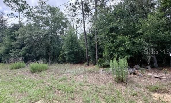 Property Photo:  3223 E Scofield St  FL 34453 
