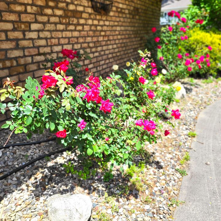 Property Photo: 1519 Moccasin Trail MI 49022