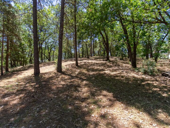 Property Photo: 5030 Irish Oak Lane CA 95667