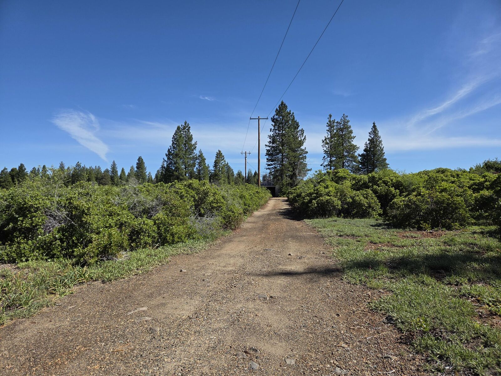 Property Photo:  7903 Airport Way  CA 96088 
