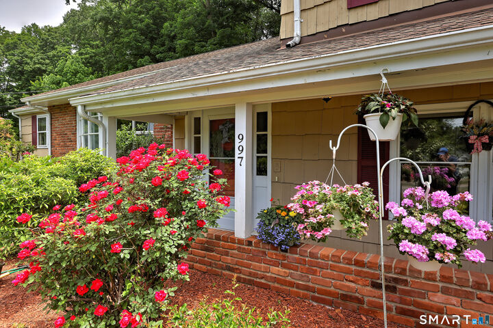 Property Photo:  997 Rainbow Trail  CT 06477 