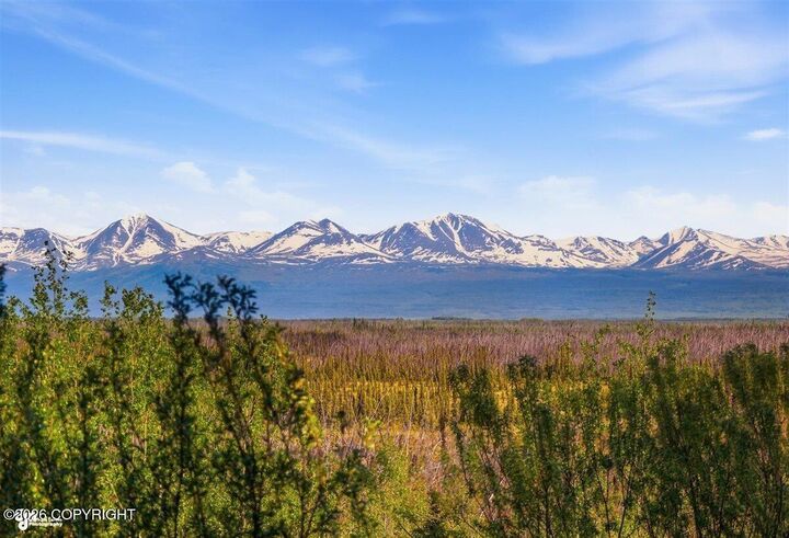 Property Photo:  36210 Cottontree Lane  AK 99672 