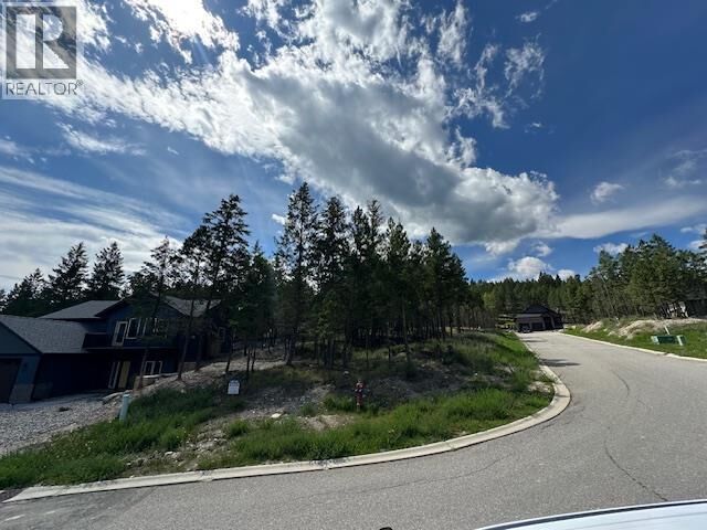 Pineridge Mountain Trail — photo 1