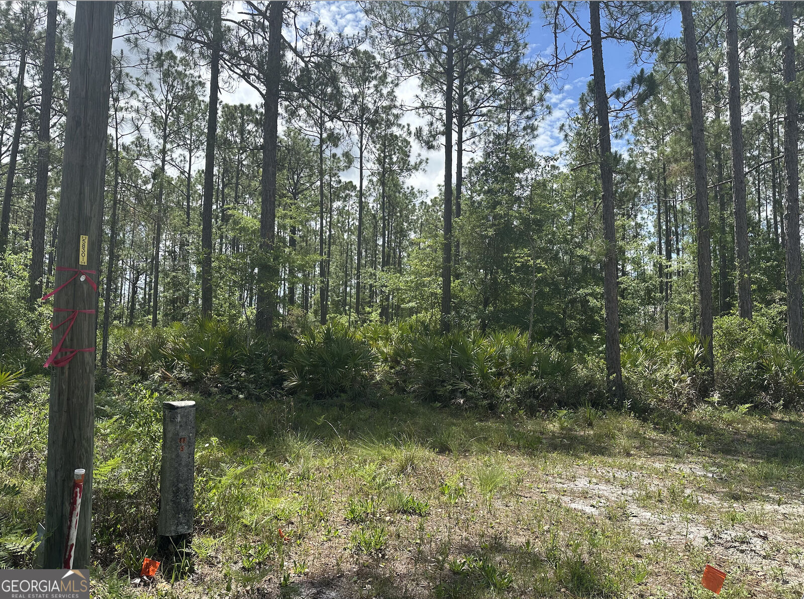 Property Photo:  57 Lakeview Drive  GA 31537 