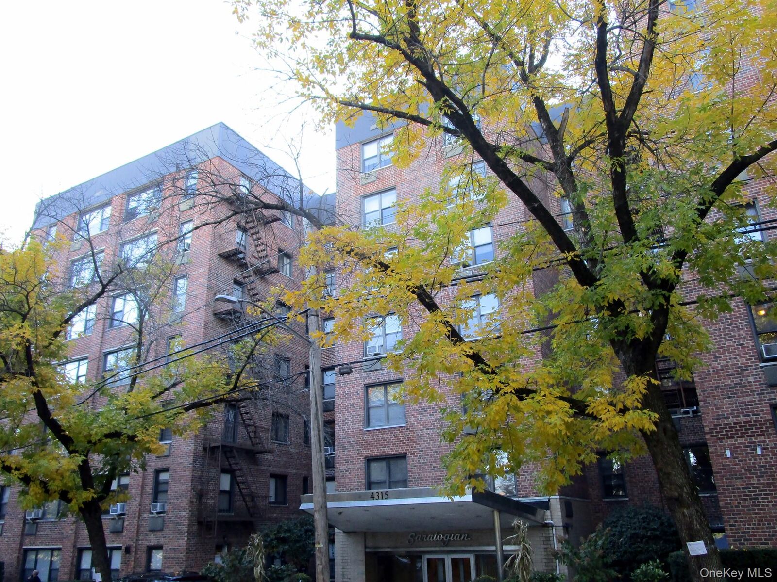 Property Photo:  4315 Webster Avenue 1B  NY 10704 