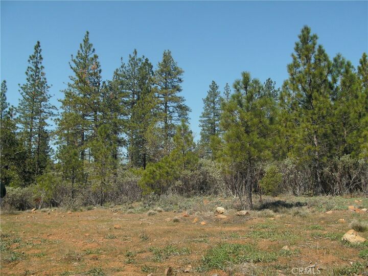 Property Photo:  36 Allen Way  CA 95919 
