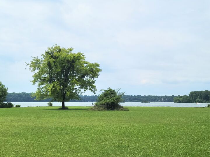 Property Photo: 110 Meadowlake Ct TN 37075