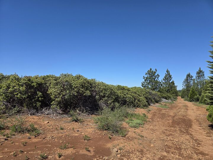 Property Photo:  Lot 2 Eleanor Way  CA 96088 