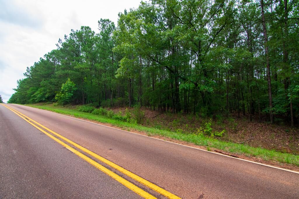 Property Photo:  0 White Road  GA 31822 