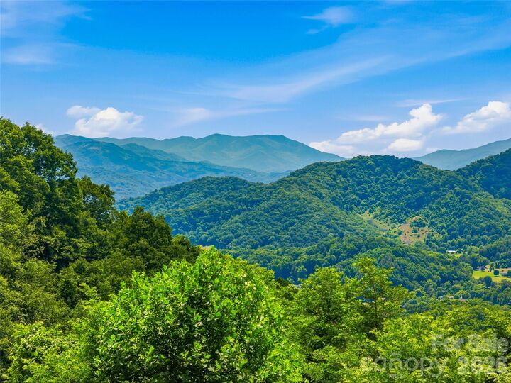 Property Photo:  1877 Wilson Cove Road  NC 28716 