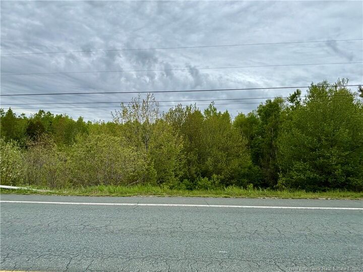 Property Photo:  16.3 Acres Route 160  NB E8M 1A9 