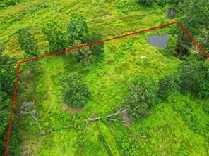 Property Photo: 254 County Road 312 TX 77327