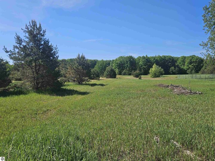 Property Photo:  V/L Parcel C SE Grass Lake Road  MI 49646 