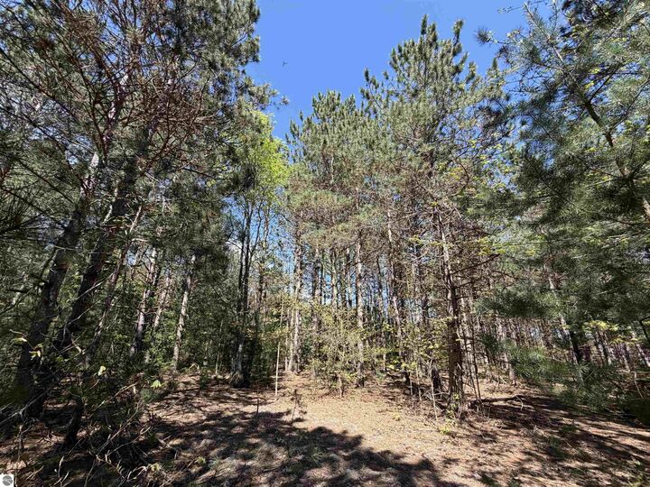 Property Photo: 13158 Cinder Road MI 49617