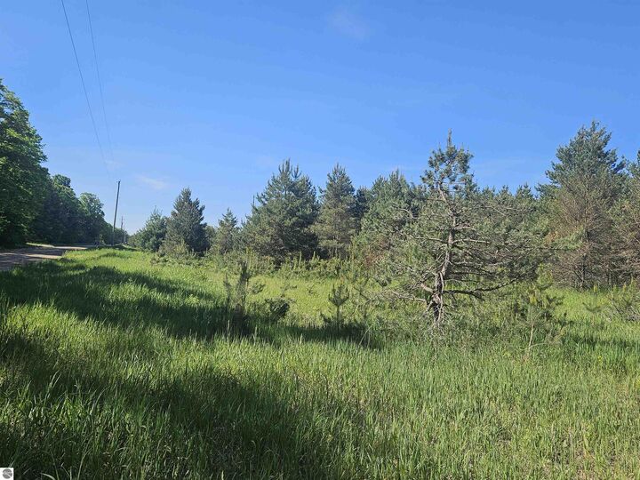 Property Photo: V/Lparcel Af-A2 NW Smith Road MI 49676