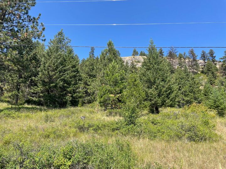 Lot 6 Hulme Creek Road — photo 1