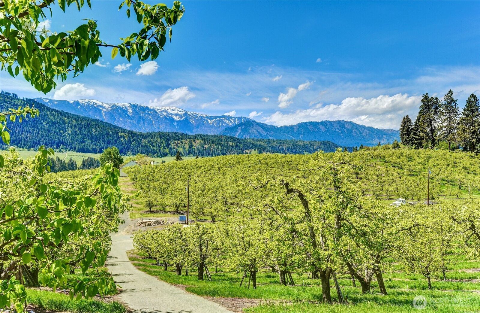 Property Photo: 848 X Larson Rd WA 98847