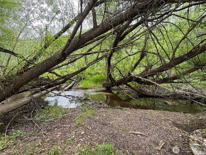 Property Photo: 1742 Toroda Creek Road WA 98859