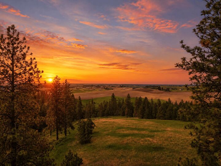 Property Photo: Nna S Sands Rd Lot 2 WA 99036