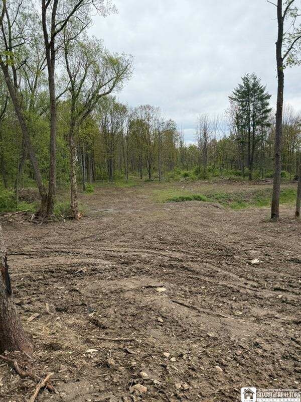 Property Photo:  4371 Lawson Road  NY 14701 