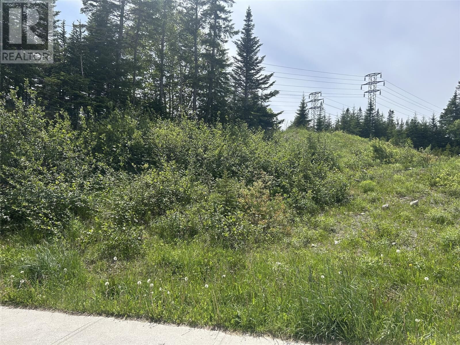 Property Photo:  196 Massey Drive  NL A2H 7A2 