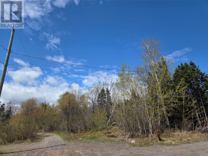 Property Photo:  44 Aspen Drive  NL A0H 1E0 