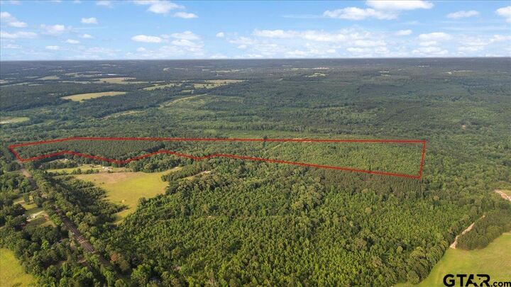 Property Photo: Tbd S Fm 225 TX 75667