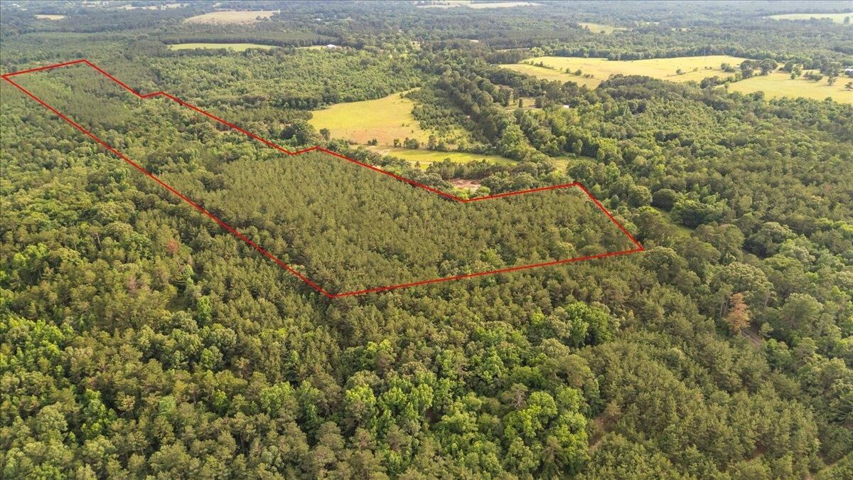 Property Photo: Tbd S Fm 225 TX 75667
