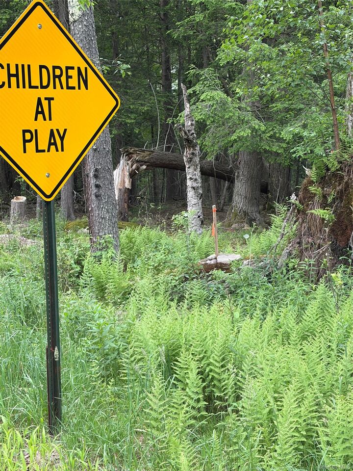 Property Photo: Creamery Creamery Road NY 12701