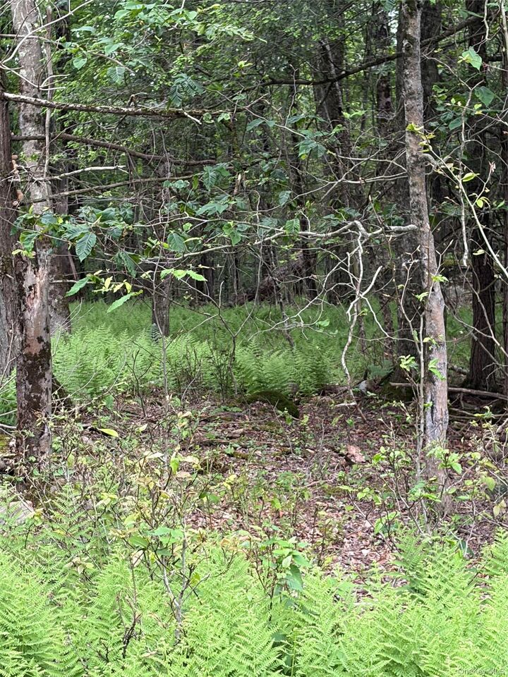 Property Photo:  Creamery Road  NY 12701 