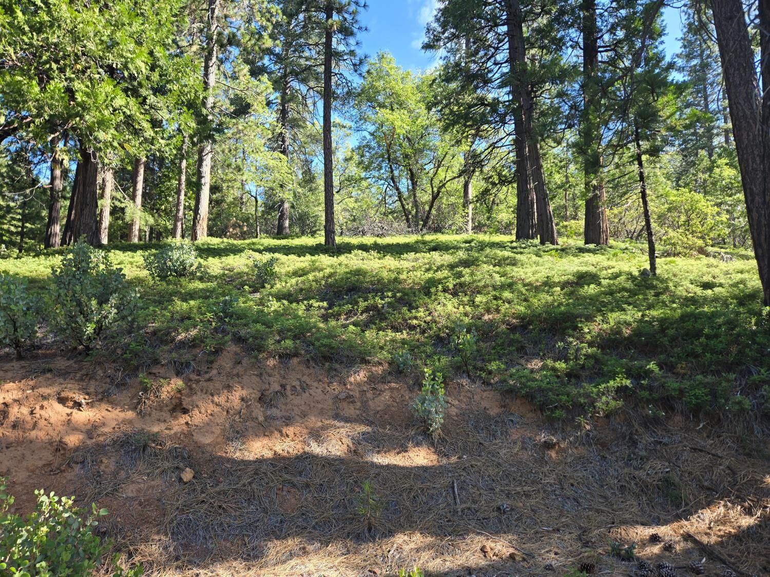Property Photo: 2964 Murphys Drive CA 95223