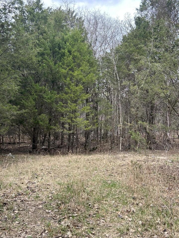 Property Photo:  0 Pin Hook Road  TN 37381 