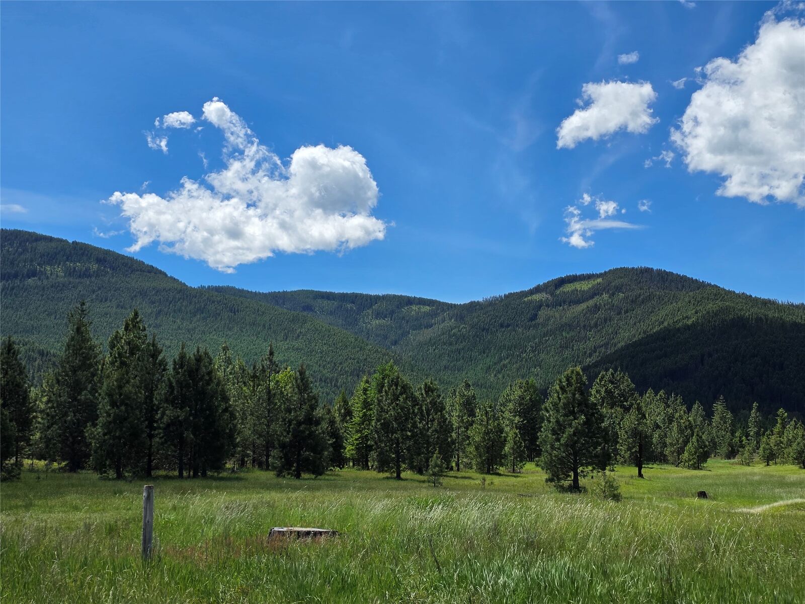 Property Photo: 164 S Hill Road MT 59874