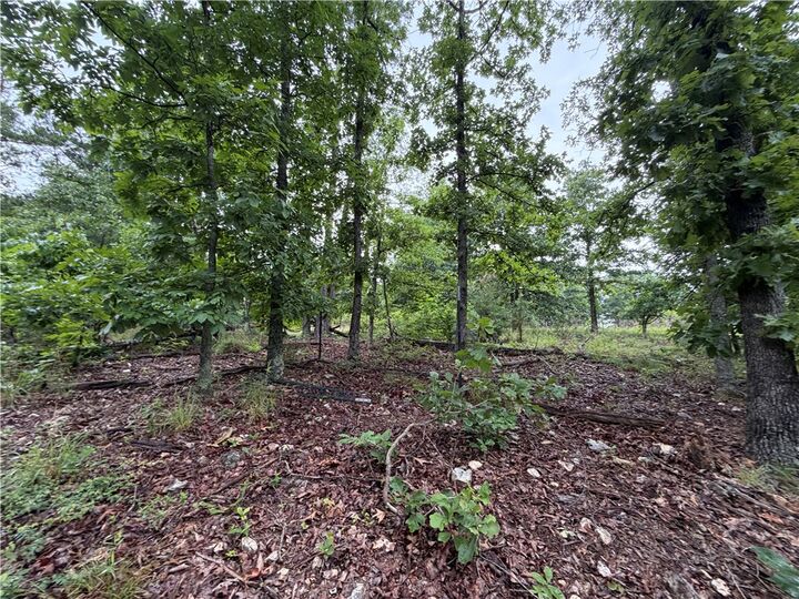 Property Photo:  Off Of Morgan Cave Road  AR 72601 