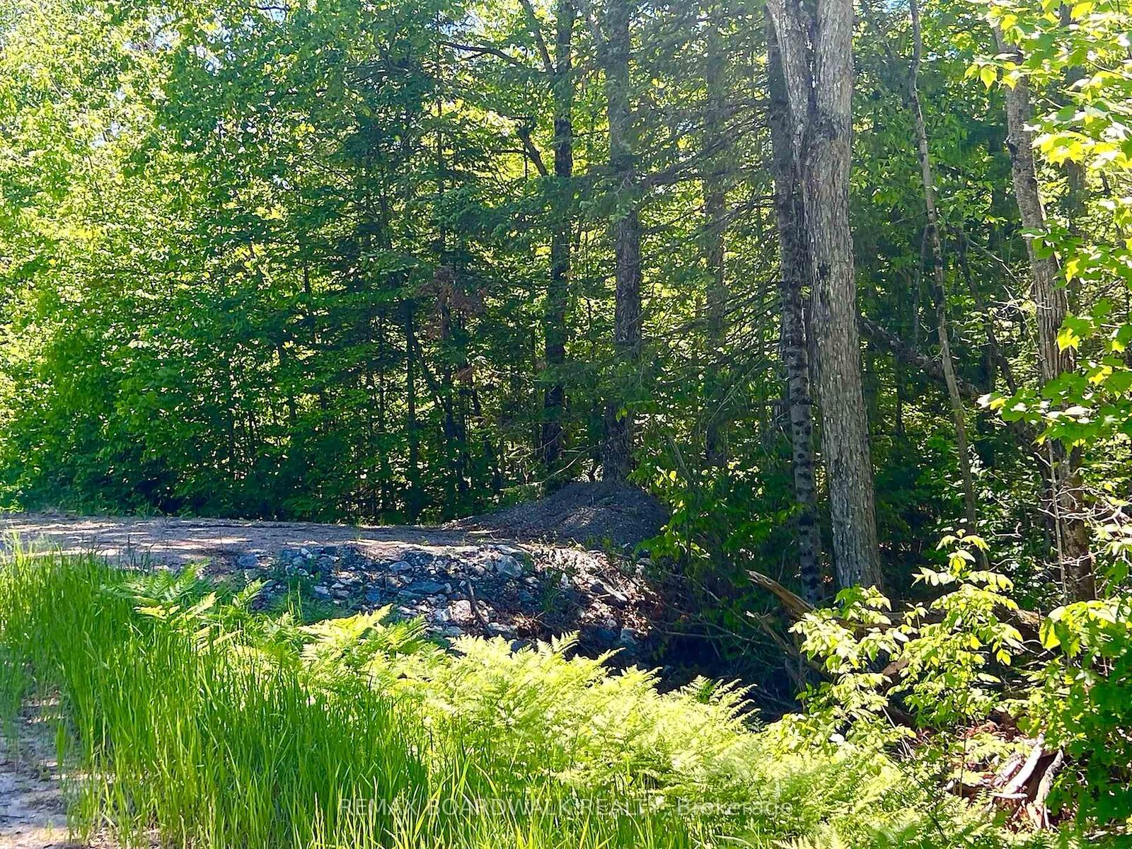 Property Photo:  00 Buckshot Lake Road  ON K0H 1K0 