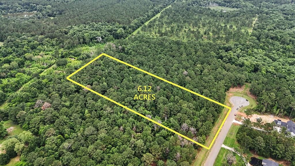 Property Photo:  317 Hidden Lakes Drive  GA 31707 