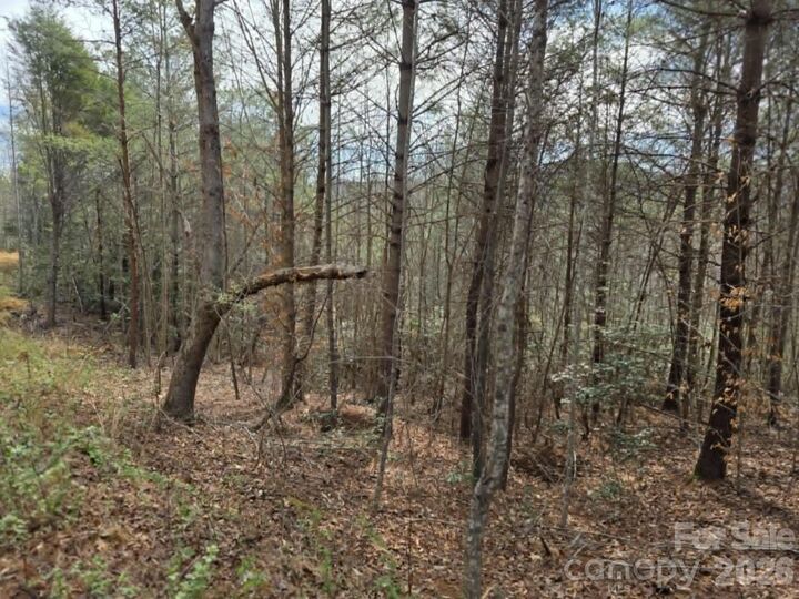 Property Photo:  Lot 4 Kerlee Lane  NC 28762 